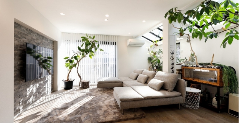 reform_green_content_banner